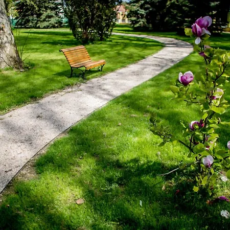 바티야니 카스텔리잘로 잘레크세니