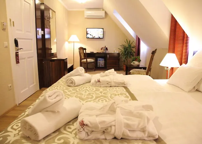 호텔 바티야니 카스텔리잘로 잘레크세니