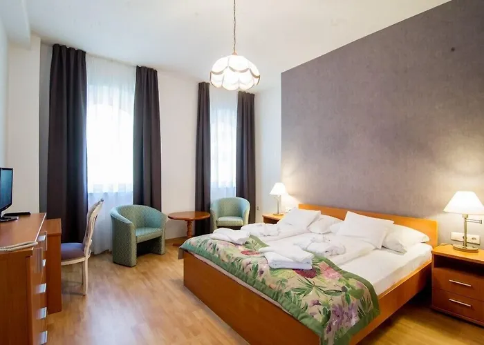 호텔 바티야니 카스텔리잘로